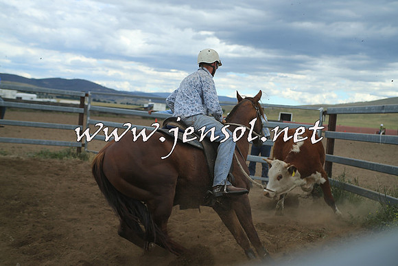 AdaminabyCampdraft2014_1304