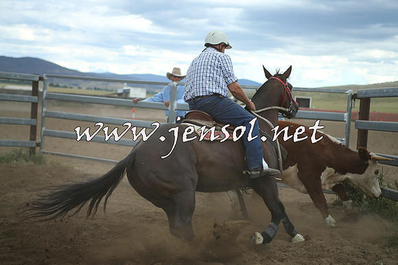 AdaminabyCampdraft2014_1413