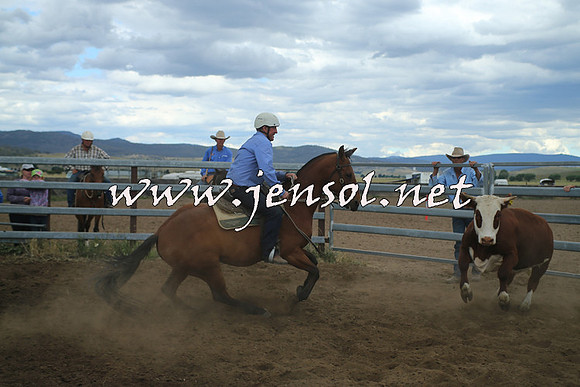 AdaminabyCampdraft2014_1528