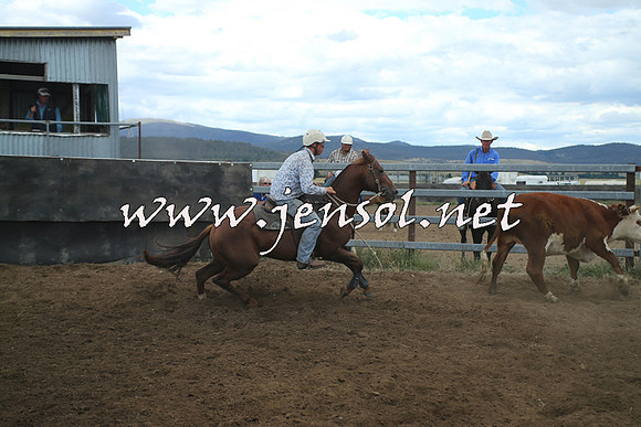 AdaminabyCampdraft2014_1299