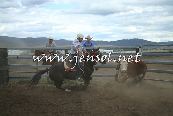 AdaminabyCampdraft2014_1417