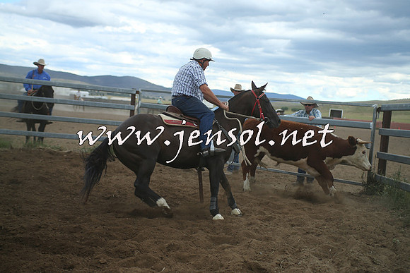 AdaminabyCampdraft2014_1407
