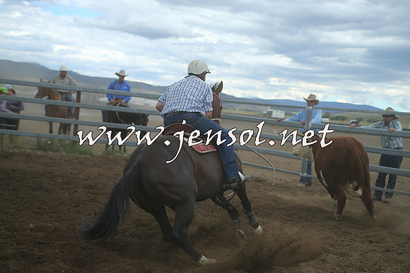 AdaminabyCampdraft2014_1401