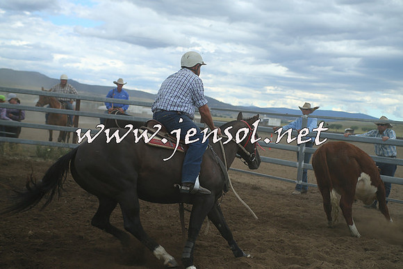 AdaminabyCampdraft2014_1400