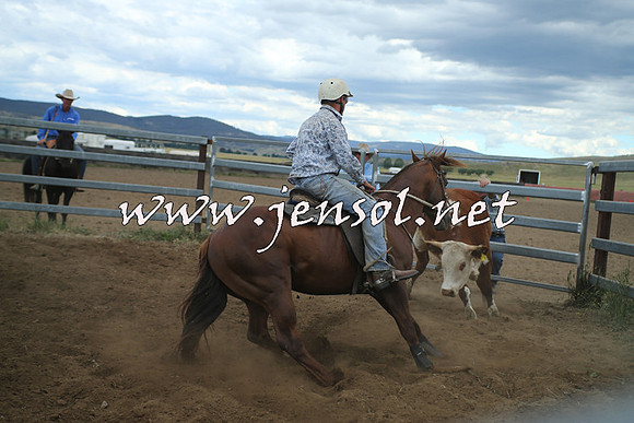 AdaminabyCampdraft2014_1313