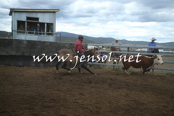 AdaminabyCampdraft2014_1553