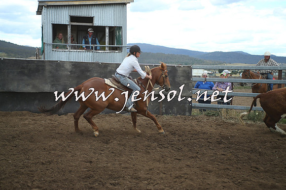 AdaminabyCampdraft2014_1388