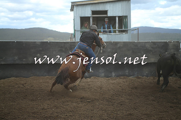 AdaminabyCampdraft2014_1456