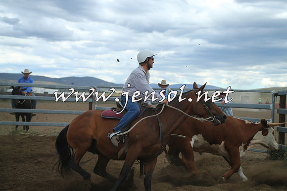 AdaminabyCampdraft2014_1493