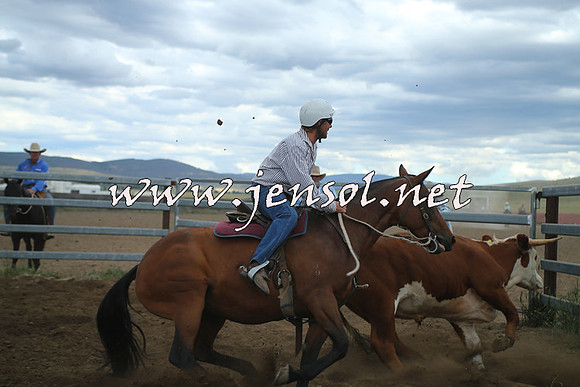 AdaminabyCampdraft2014_1495