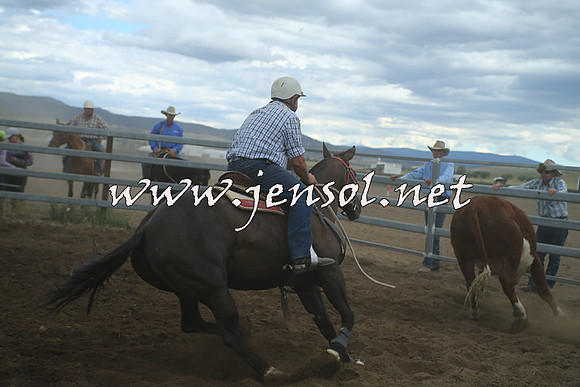 AdaminabyCampdraft2014_1399