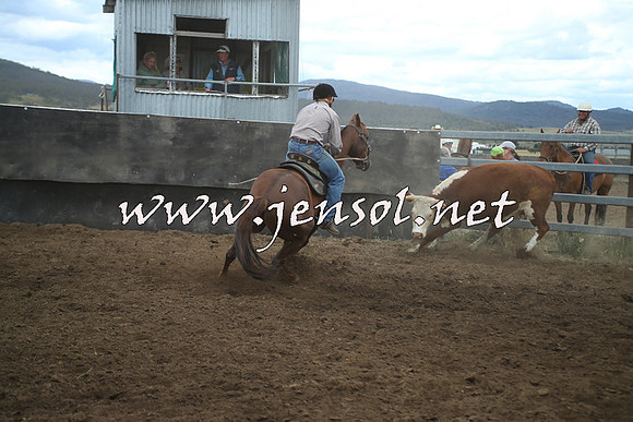 AdaminabyCampdraft2014_1344