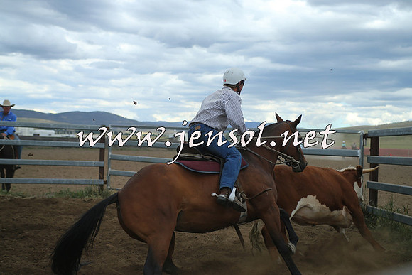 AdaminabyCampdraft2014_1492