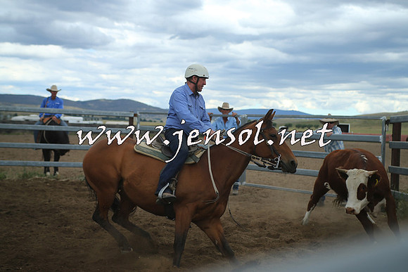 AdaminabyCampdraft2014_1523