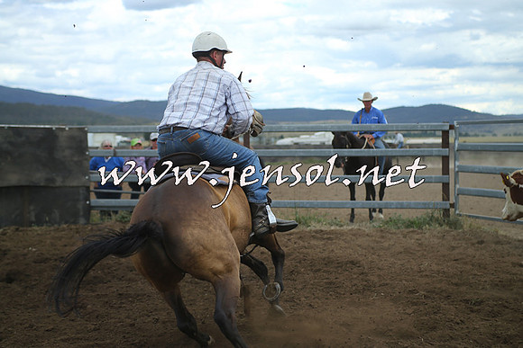 AdaminabyCampdraft2014_1353
