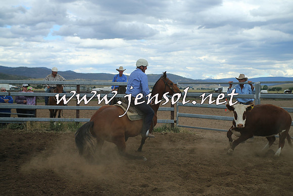 AdaminabyCampdraft2014_1524