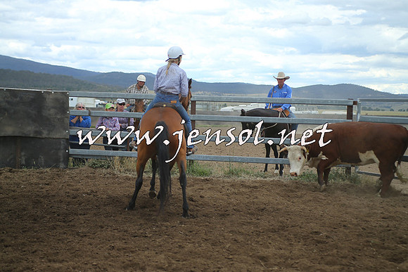 AdaminabyCampdraft2014_1351