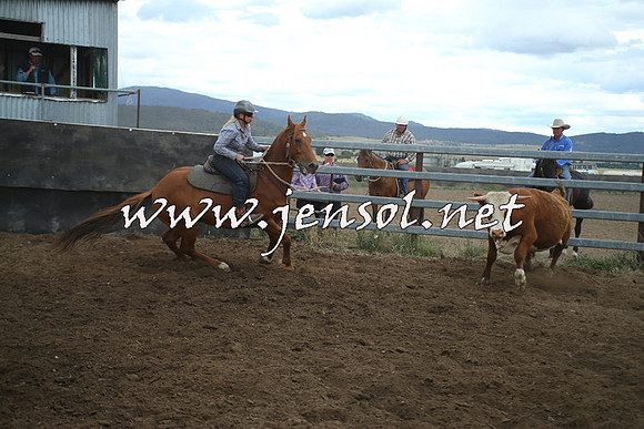AdaminabyCampdraft2014_1381