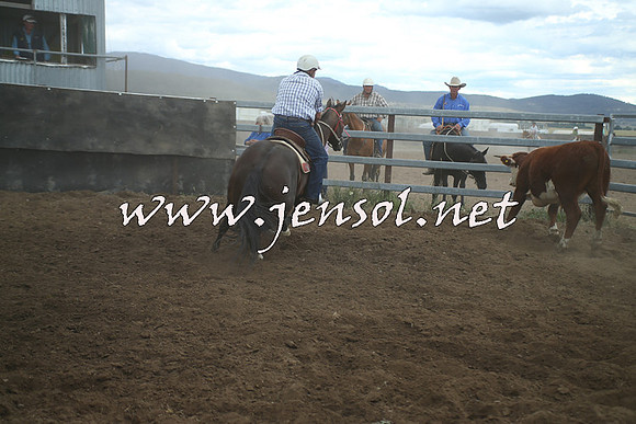 AdaminabyCampdraft2014_1404