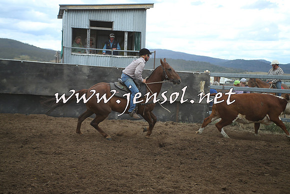 AdaminabyCampdraft2014_1338
