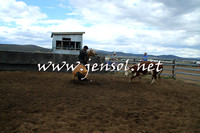 AdaminabyCampdraft2014_1250