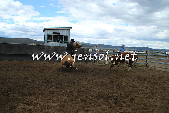 AdaminabyCampdraft2014_1250
