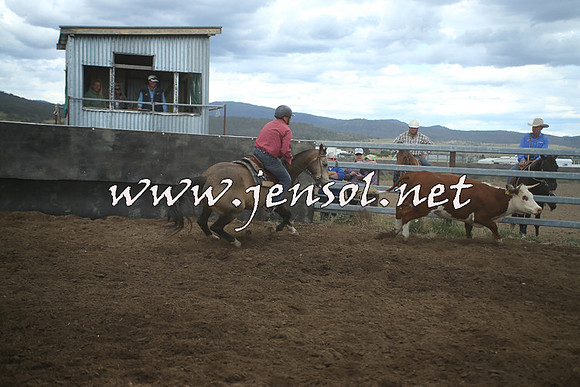 AdaminabyCampdraft2014_1554