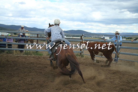 AdaminabyCampdraft2014_1293