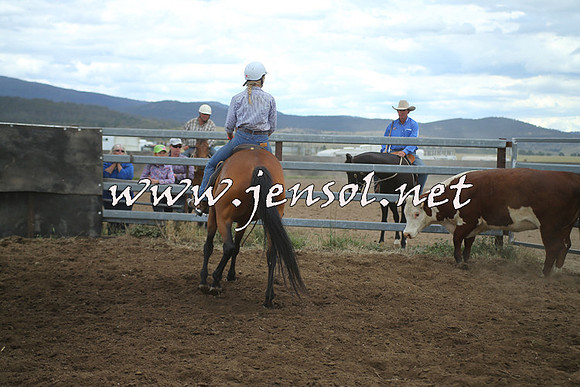 AdaminabyCampdraft2014_1350