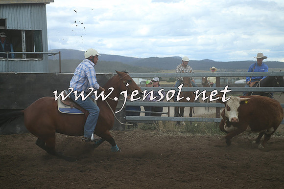 AdaminabyCampdraft2014_1319