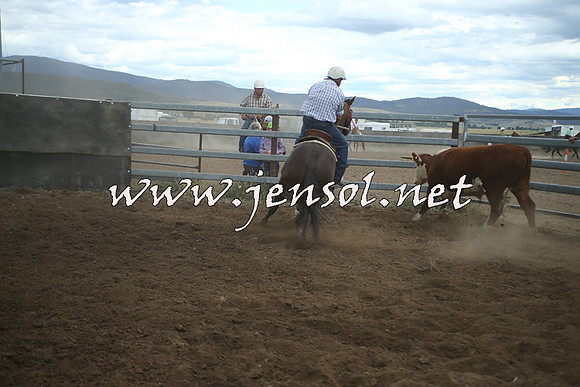AdaminabyCampdraft2014_1411