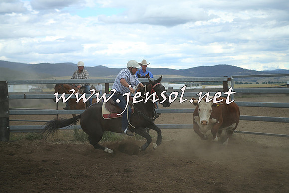 AdaminabyCampdraft2014_1418