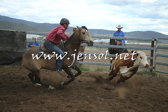 AdaminabyCampdraft2014_1365