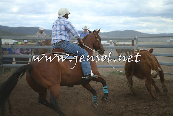 AdaminabyCampdraft2014_1333