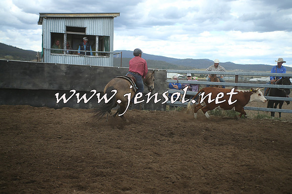 AdaminabyCampdraft2014_1551