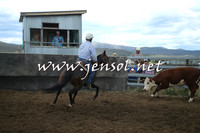 AdaminabyCampdraft2014_1240