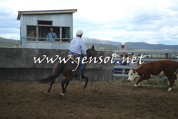 AdaminabyCampdraft2014_1240