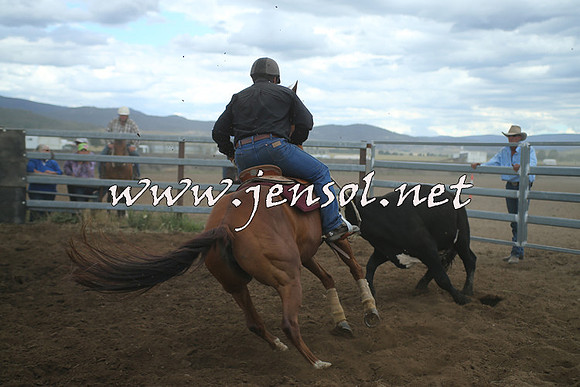 AdaminabyCampdraft2014_1452