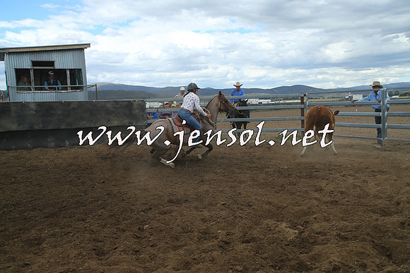 AdaminabyCampdraft2014_1281