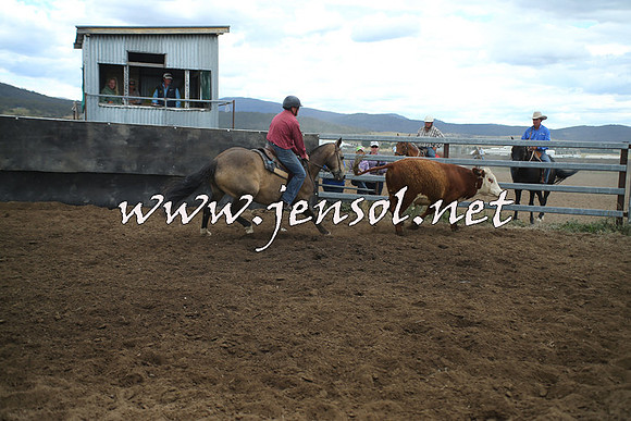 AdaminabyCampdraft2014_1362