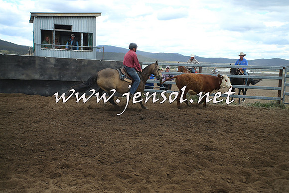AdaminabyCampdraft2014_1363