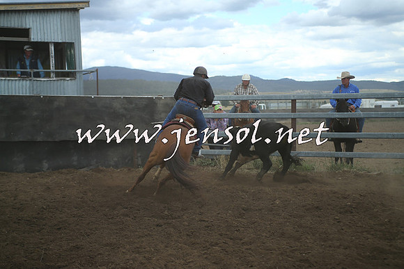 AdaminabyCampdraft2014_1477