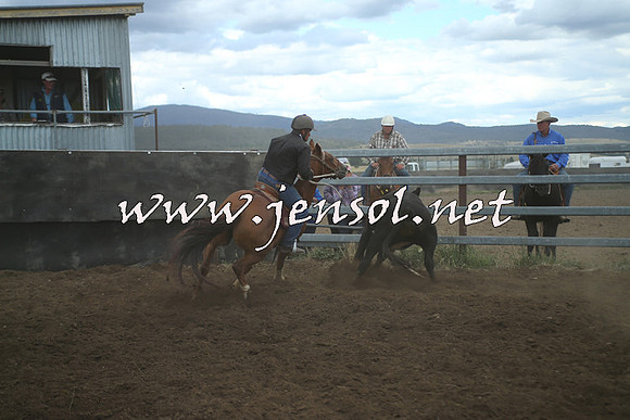 AdaminabyCampdraft2014_1479