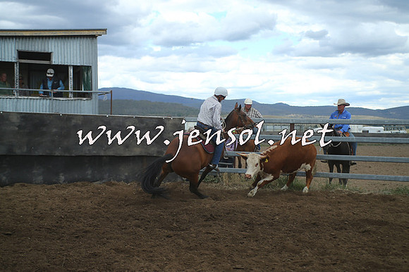 AdaminabyCampdraft2014_1487