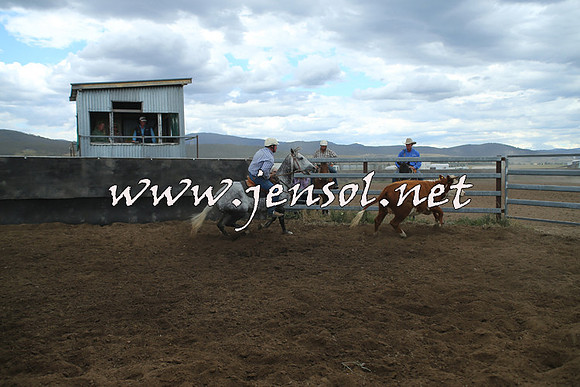 AdaminabyCampdraft2014_1439