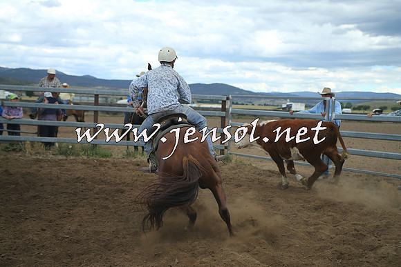 AdaminabyCampdraft2014_1294