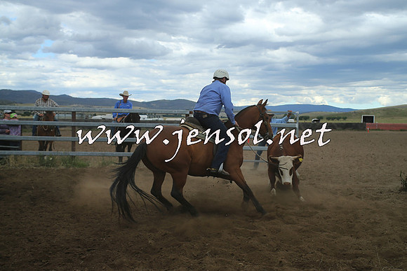 AdaminabyCampdraft2014_1537