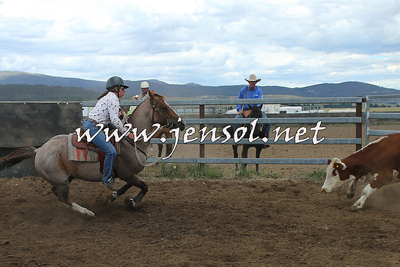 AdaminabyCampdraft2014_1269