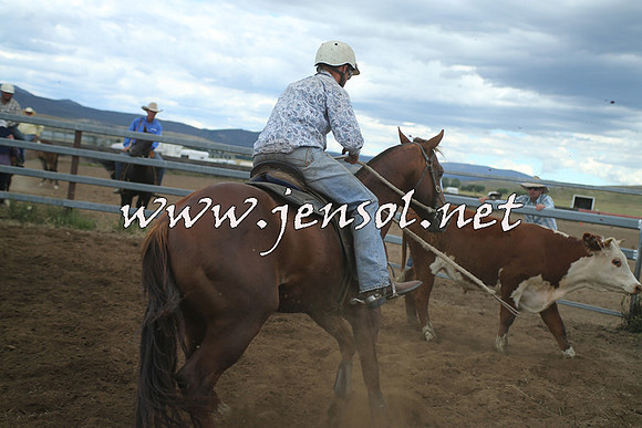 AdaminabyCampdraft2014_1286