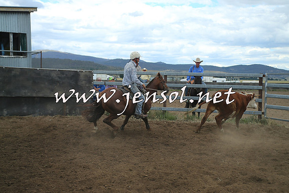 AdaminabyCampdraft2014_1308